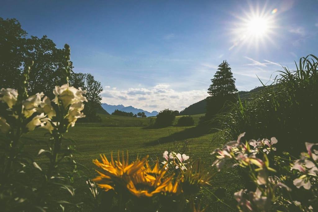 Fritzis Alpenidyll „Sommertraum & Winterromantik” Samerberg Exteriér fotografie
