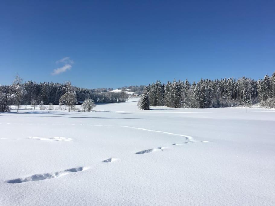 Fritzis Alpenidyll „Sommertraum & Winterromantik” Samerberg Exteriér fotografie