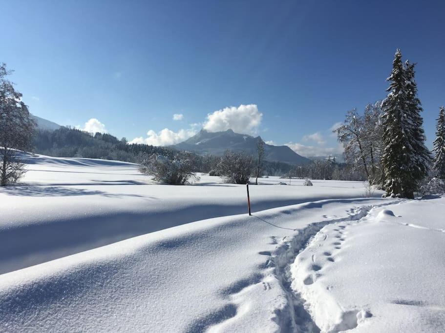 Fritzis Alpenidyll „Sommertraum & Winterromantik” Samerberg Exteriér fotografie